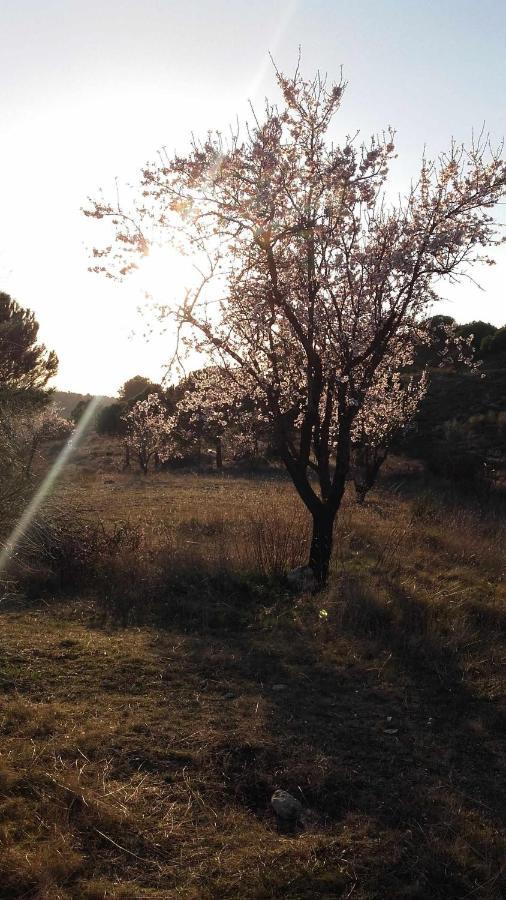 Casa Rural Con Jacuzzi La Parrilla  Luaran gambar